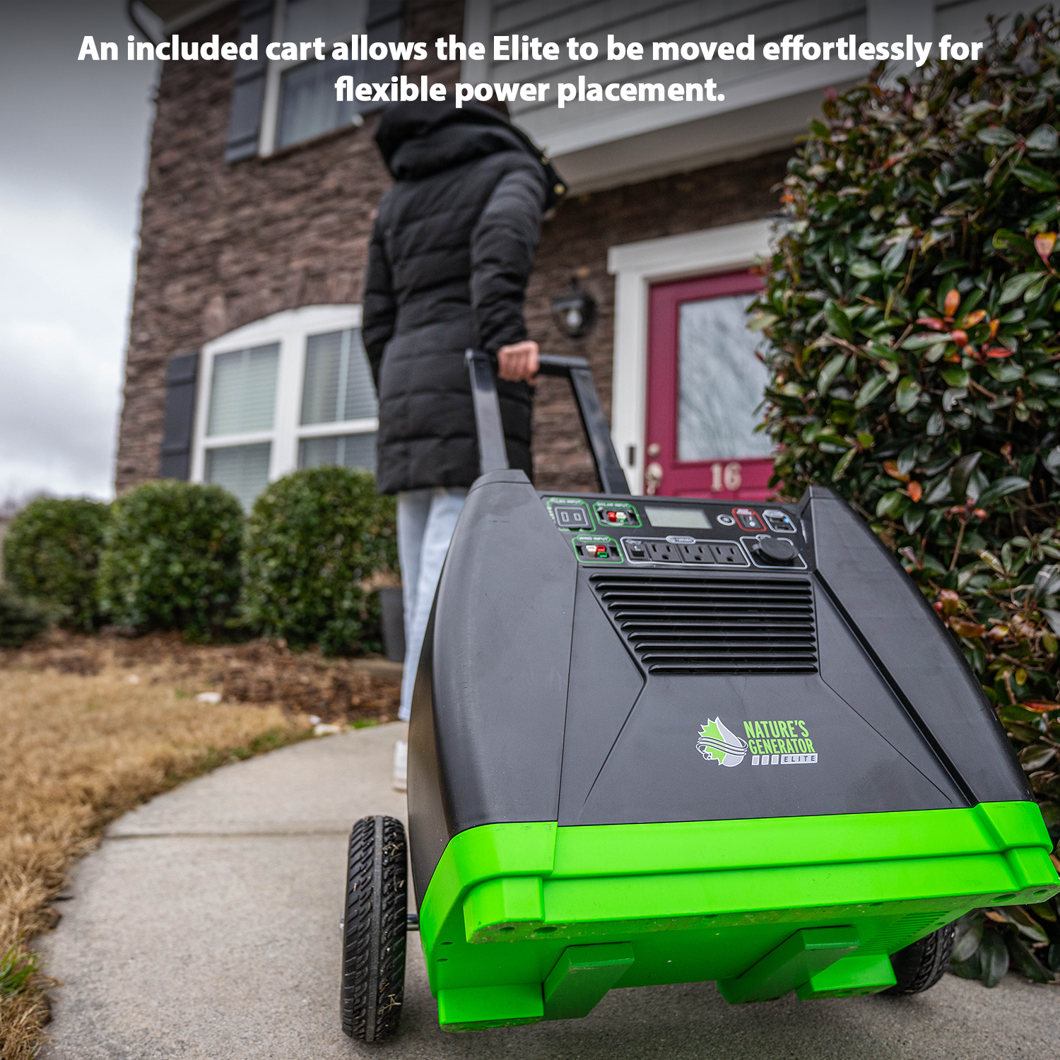 Nature's Generator Elite by Nature's Generator