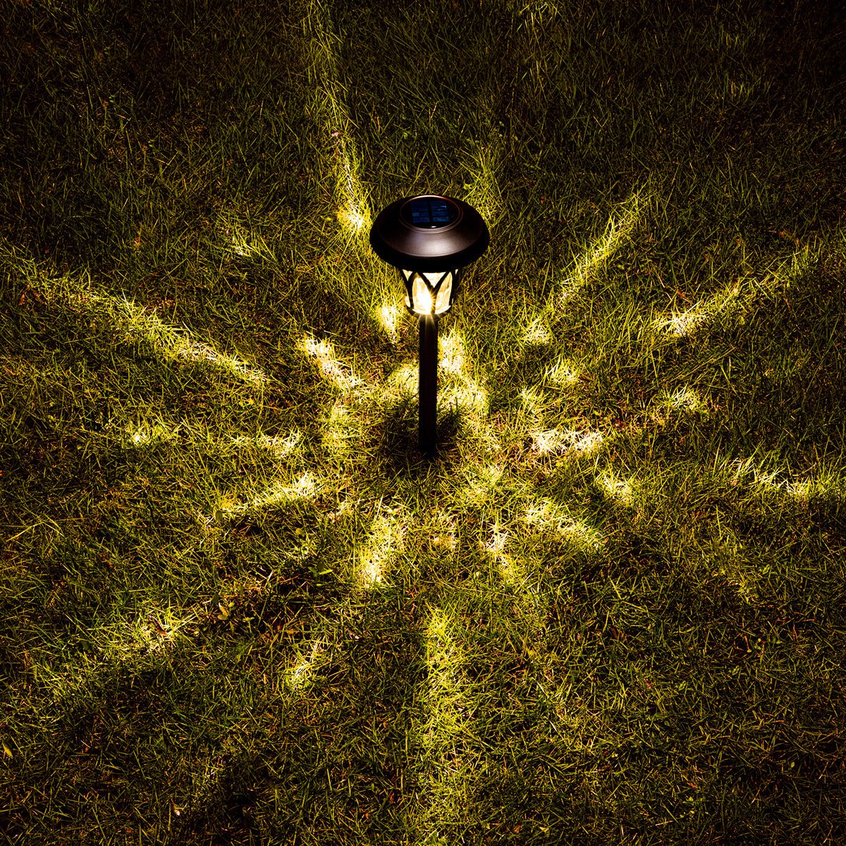 Gigalumi: Tulip Designed Solar Powered Yard Lights (6pc)Set - GJB PRODUCTS